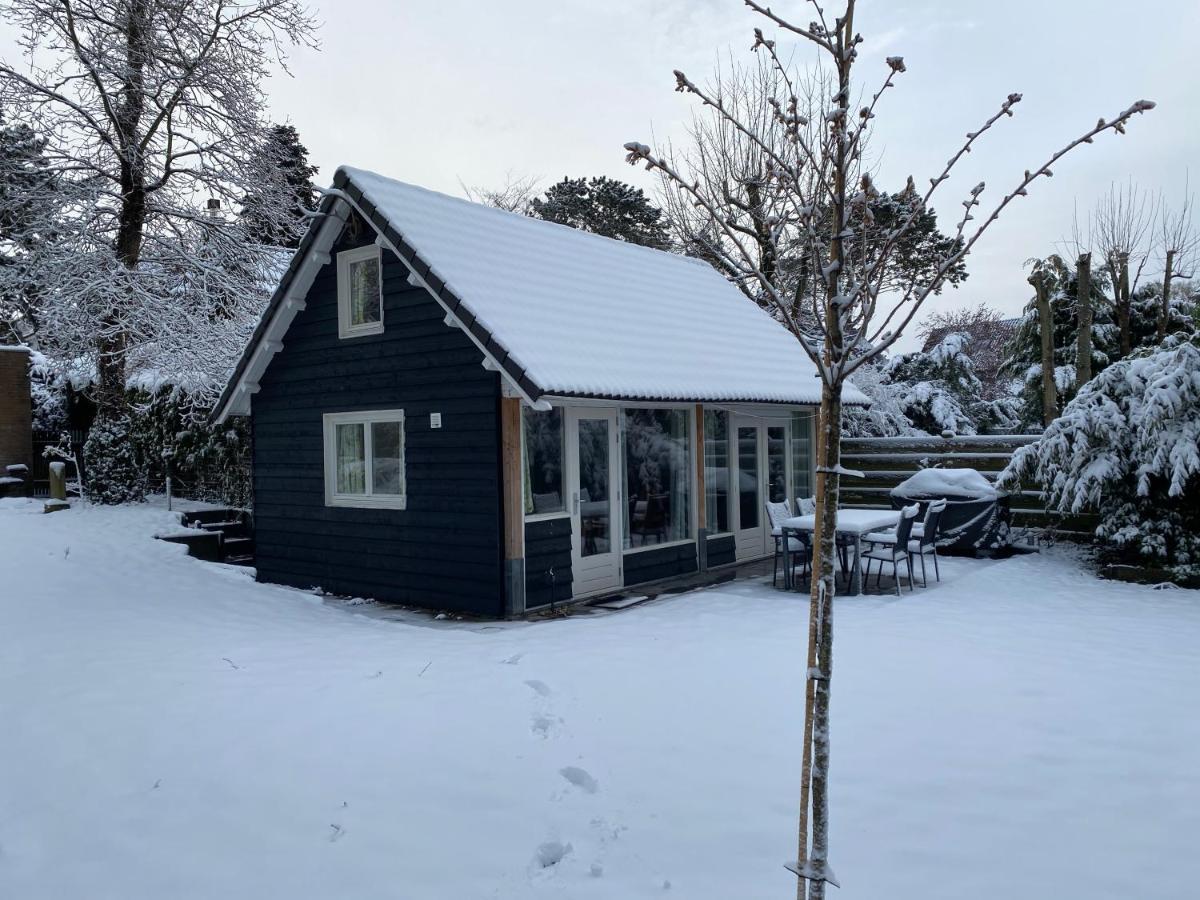 Garden Find Zandvoort Bentveld Zewnętrze zdjęcie