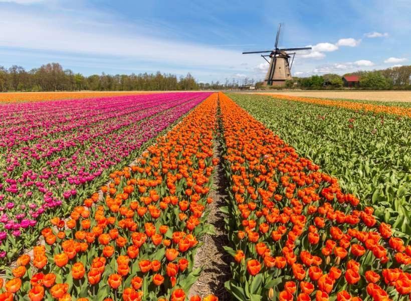 Garden Find Zandvoort Bentveld Zewnętrze zdjęcie